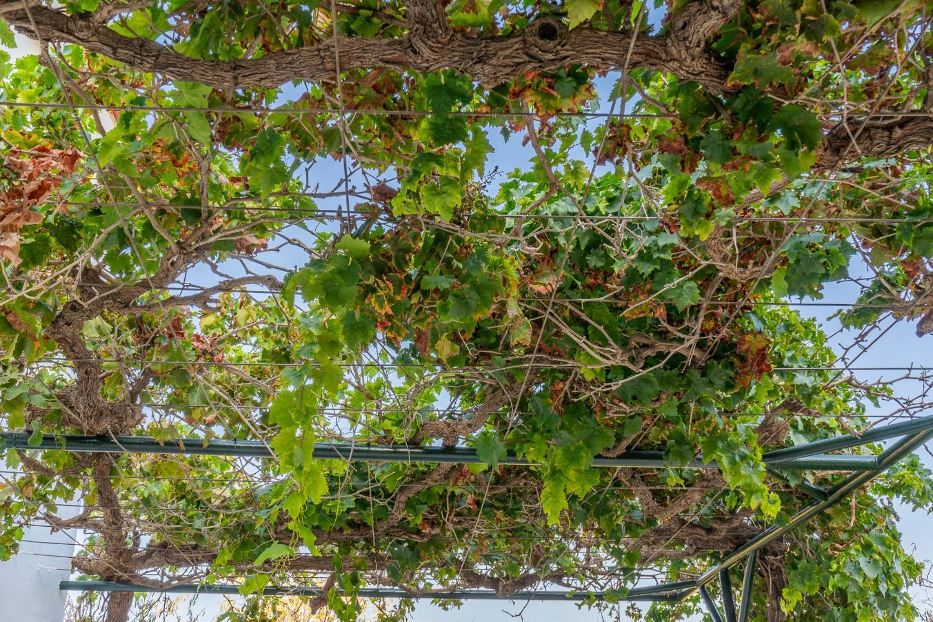 Country house Paredones Iii Caminito Del Rey Alora